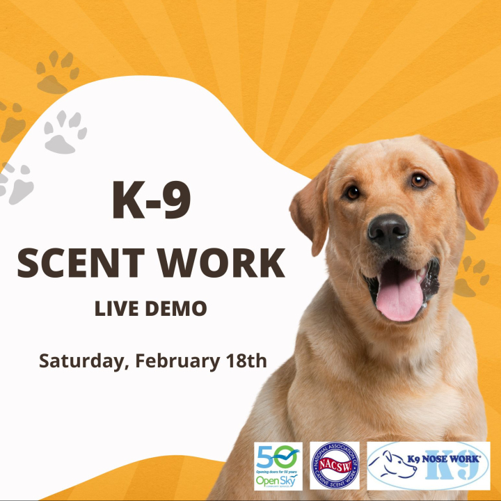 K-9 Scent Work Live Demo